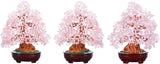 Feng Shui Natural Rose Quartz Crystal Money Tree Resin Base Healing Stones Bonsai Style Tree Large Decoration for Wealth and Luck 9.5 Inches