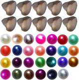 30 PCS Freshwater Pearl Oyster Cultured with Pearls inside (6-8Mm random colors)