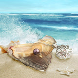 Lotus Pearl in Oyster Kit Great Gift for Any Occasion 